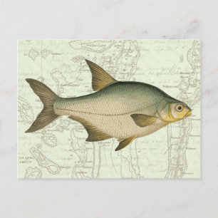 Postale Poisson d'eau douce sur la carte