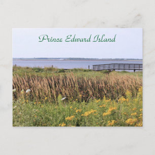 Postale Pont carte postale, fleur sauvage, océan, Prince E