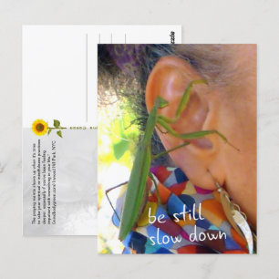 Postale Prier Mantis - être tranquille, ralentir - carte p