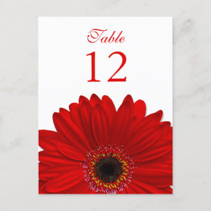 Postale Rouge Gerbera Daisy Tableau Numéro Carte Plat