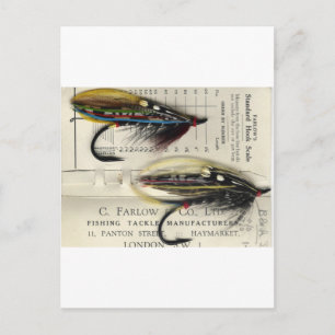 Postale Saumon classique Voler sur carte