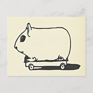 Postale Souris sur un skateboard Fun Salutations Carte Ann