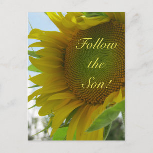 Postale Suivez le Fils ! Message chrétien sur une carte po