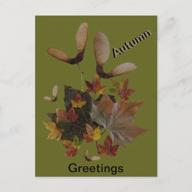 Postale Sycamore Maple Feuilles Collage AUTUMN Carte posta (Devant)