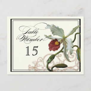 Postale Taupe de l'orchidée de Cattleya - Numéro de carte 