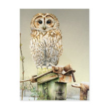 Tawny Owl dans l'aquarelle fine art neige carte po