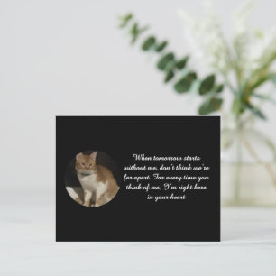 Postale Texte de nom de photo de chat Carte de sympathie d
