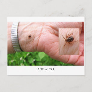 Postale Une tique en bois, une tique en bois et une carte