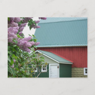 Postale Upper Peninsula Michigan Red Barne Lilac Carte pos