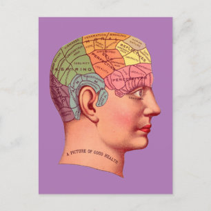 Postale Vintage Phrenologie Chef Mineur Carte du cerveau
