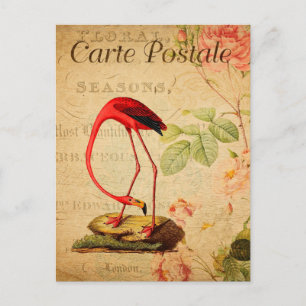 Postale Vintage Rouge flamingo Floral Carte française Post