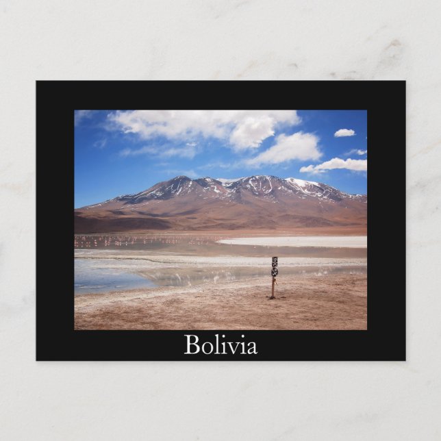 Postale Volcan dans un paysage de l'Altiplano carte postal (Devant)