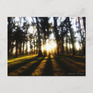 Postales Uruguay Postcard