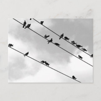 Postcard