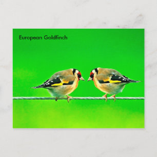 Postcard