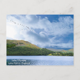 Postcard