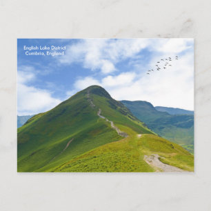 Postcard