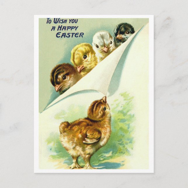 Postcard (Front)