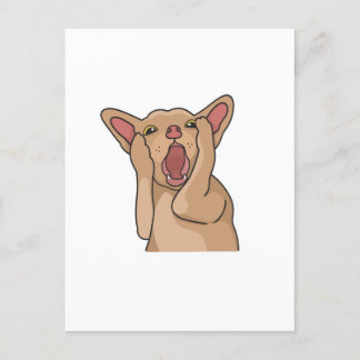 Postcard