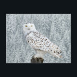 Postcard<br><div class="desc">Cute Snowy Owl,  magic owl,  white owl!</div>