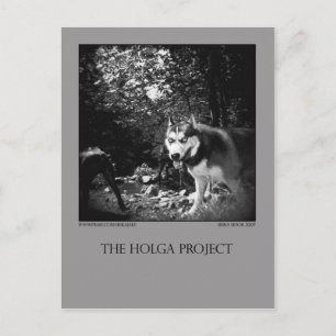 Postcard 10