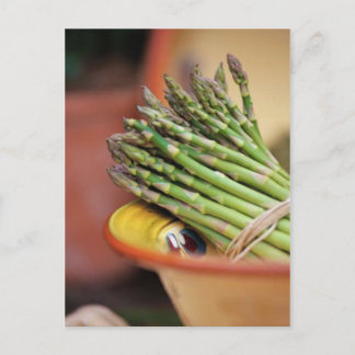 POSTCARD ASPARAGUS