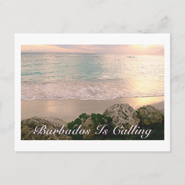 POSTCARD/"BARBADOS IS CALLING"/SOFT MUTED COLORS POSTCARD (Front)