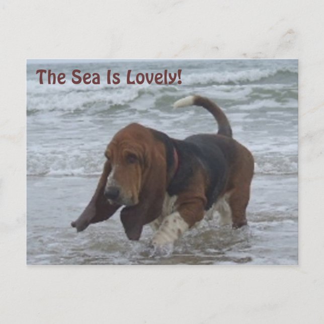 Postcard Basset Hound By The Sea (Front)