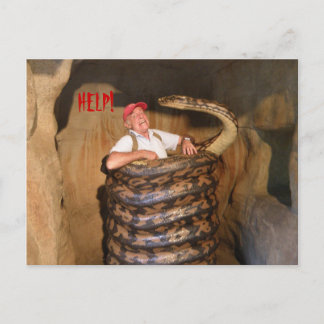 Postcard Big Snake QLD Australia