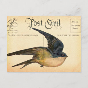 Postcard Bird Digital Art
