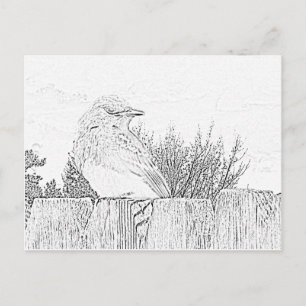 Postcard - Bird on Fence to Colour