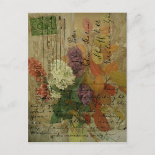 Postcard Blooms