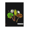 Postcard-Botanical Art-Mary Delany 14