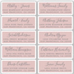 Postcard Calligraphy Wedding Guest Address Labels<br><div class="desc">Easy to personalize, names and addresses / individual wedding address label stickers for guests in a 2 x 0.8 inch size suitable for postcards! These chic, modern and simple wedding address labels feature your wedding guest names in off-black elegant handwritten script calligraphy and stylish typography on a silver pink background....</div>