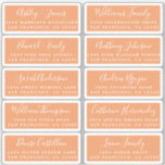Postcard Calligraphy Wedding Guest Address Labels<br><div class="desc">Easy to personalize, names and addresses / individual wedding address label stickers for guests in a 2 x 0.8 inch size suitable for postcards! These chic, modern and simple wedding address labels feature your wedding guest names in white elegant handwritten script calligraphy and stylish typography on a copper orange background....</div>