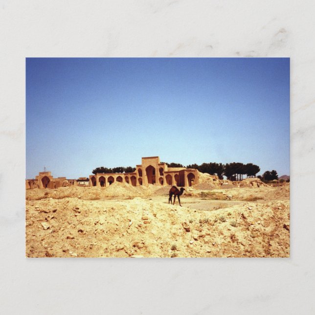 Postcard Camels on The Ancient Silk Road Khorasan (Front)