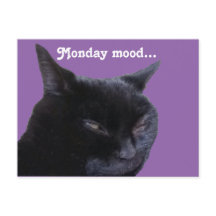 Postcard cat monday mood