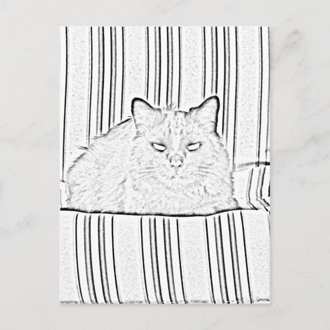 Postcard - Cat on Striped Chair to Colour (Front)