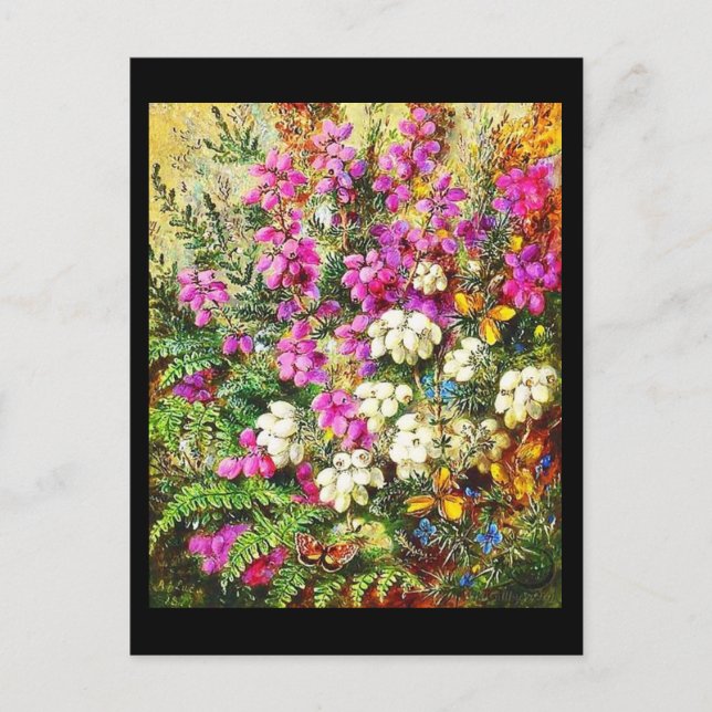 Postcard-Classic/Vintage-Albert Durer Lucas 5 Postcard (Front)