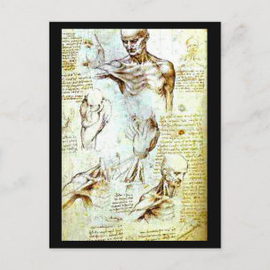 Postcard-Classic/Vintage-Leonardo da Vinci 13 Postcard