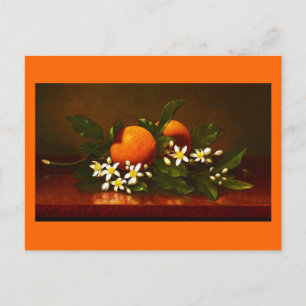 Postcard-Classic/Vintage-Martin Johnson Heade 25 Postcard