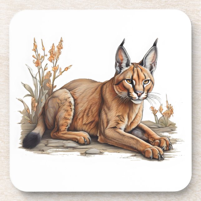 Postcard Coaster (Front)