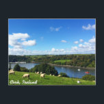 Postcard Cork, Ireland<br><div class="desc">The typical Irish countryside captured through a lense immortalised on a postcard. It showcases what Ireland is known for.. green fields,  blue skies with clouds and sheep.</div>