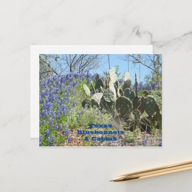 Postcard Country Texas Bluebonnets and Cactus (Front/Back In Situ)