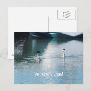 Postcard - Cruise Vacation