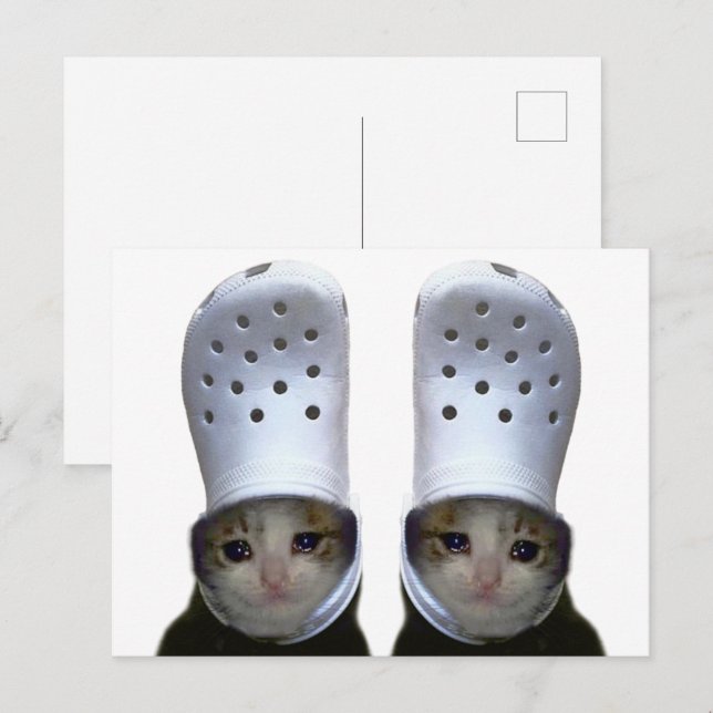 Postcard Crying Cat Croc Hat Meme (Front/Back)