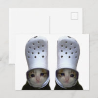 Postcard Crying Cat Croc Hat Meme