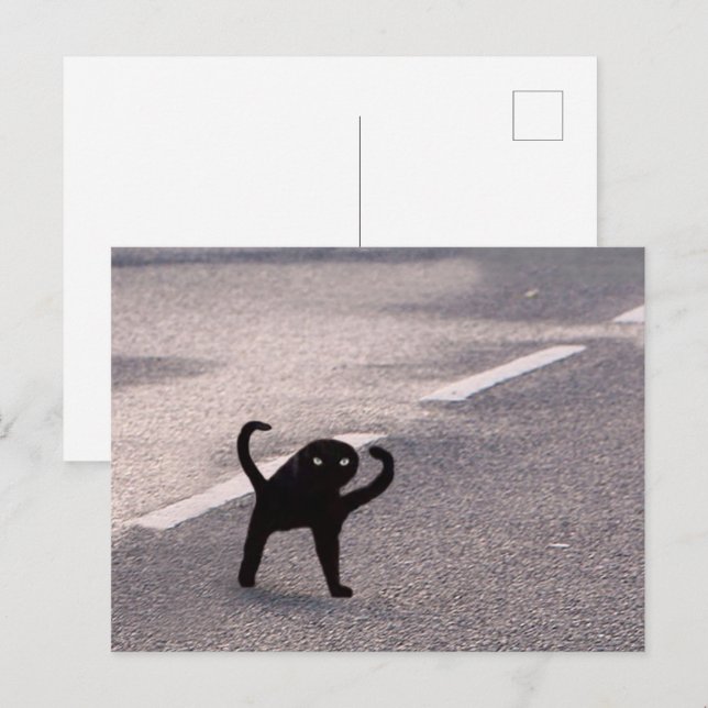 Postcard Cursed Cat Meme (Front/Back)