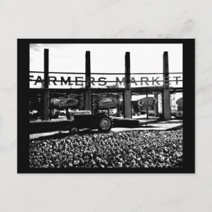 Postcard-Dallas Photography-12 Postcard