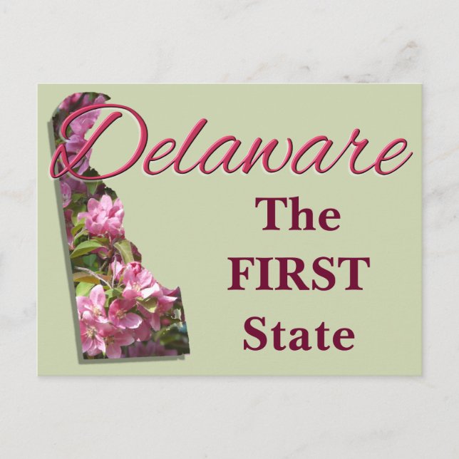Postcard - DELAWARE (Front)
